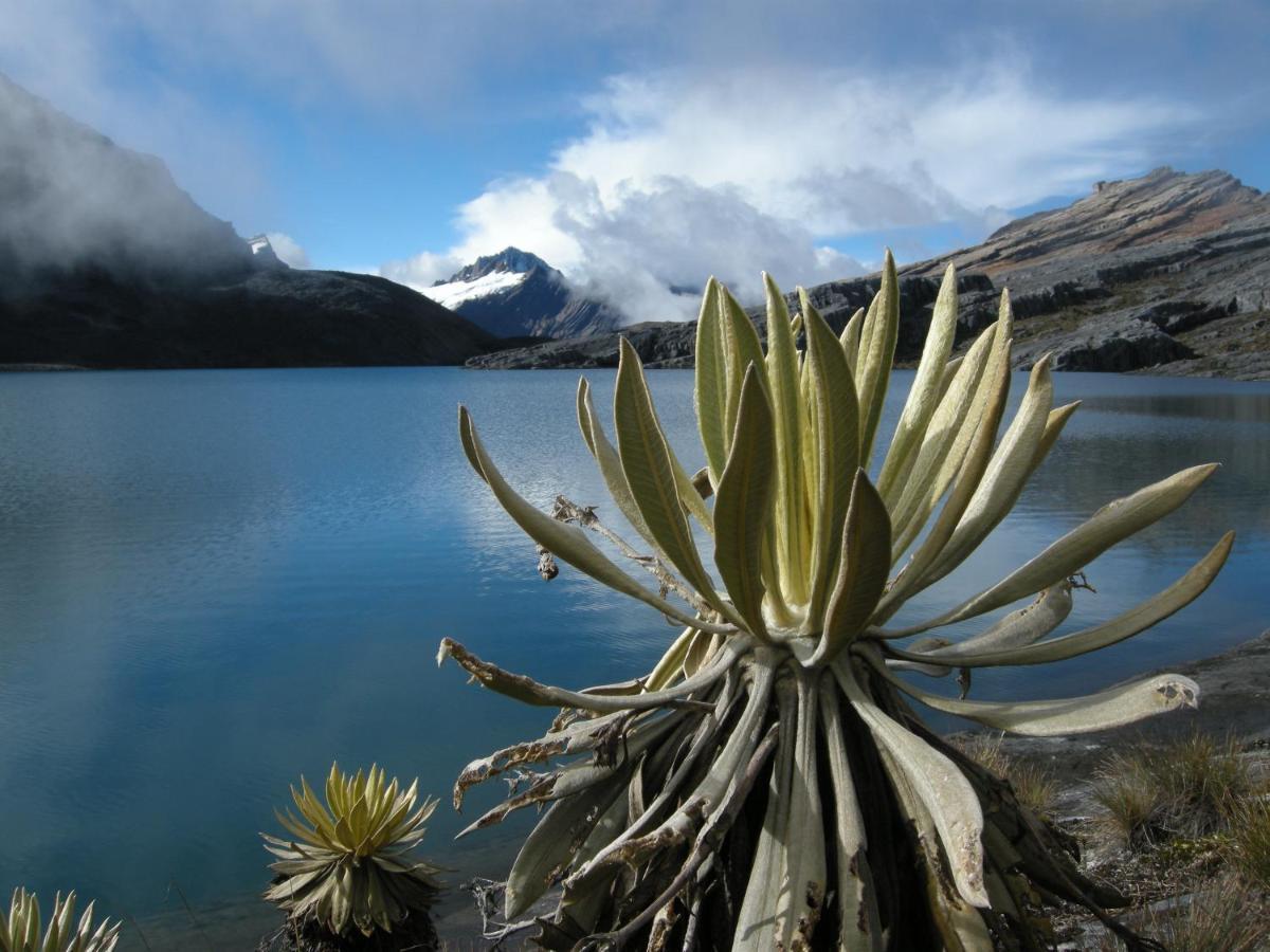 Hostal El Caminante El Cocuy 外观 照片